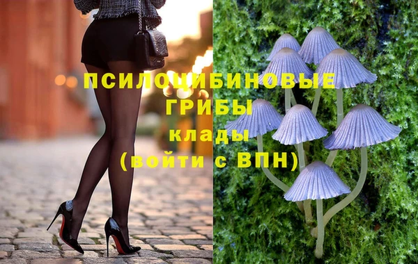 синтетический гашиш Богородск