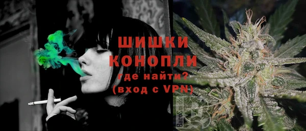сатива Богородицк