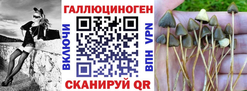 Псилоцибиновые грибы прущие грибы  Богучар 